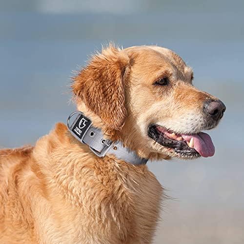 TSPRO Heavy Duty Thick Dog Collar with Metal Buckle for Large Dogs