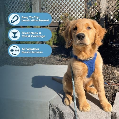 Best Pet Supplies Voyager Step-in Air All Weather Mesh Harness and Reflective Dog 5ft Leash Combo with Neoprene Handle, for Small, Medium and Large Breed Puppies - Royal Blue, X-Small