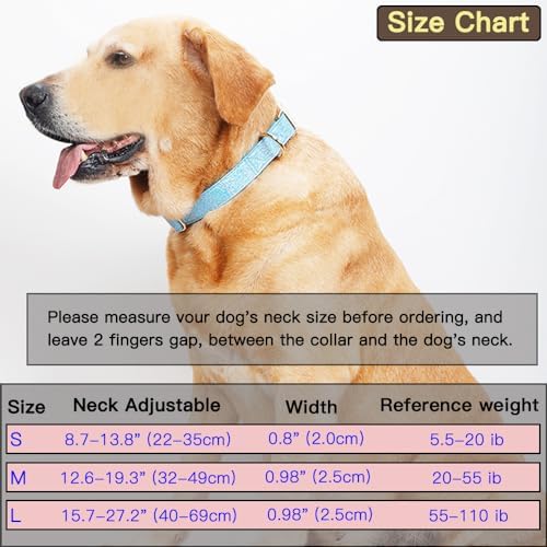 Glare Purple Dog Collar Leather and Nylon Double Layer Thickened Design