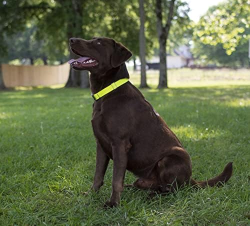 Martingale Dog Collar - Heavy Duty Nylon Adjustable Martingale Dog Collar with Plastic Buckle for Small Medium Large Breeds - 30+ Colors (1 Inch, Large, Hot Yellow)