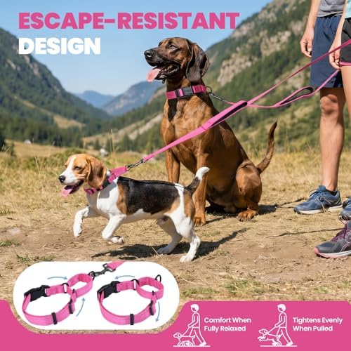 VIVAGLORY Double Handle Dog Leash Twingrip, 5ft x 1in, S, Pink