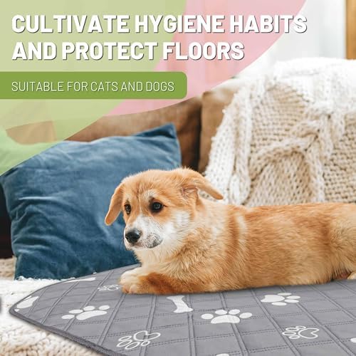 PatiencET Washable Pee Pads for Dogs, 24'' x 36" Reusable Puppy Pads with Super Absorbent, 2 Pack Puppy Potty Pads with Waterproof Bottom for Pet Training, Housebreaking and Incontinence