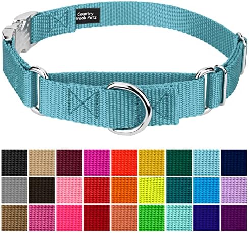 Country Brook Petz - Martingale Dog Collar - Heavy Duty Nylon Adjustable Martingale Dog Collar with Metal Buckle for Small Medium Large Breeds 30+ Color Options (1 Inch, Medium, Ocean Blue)
