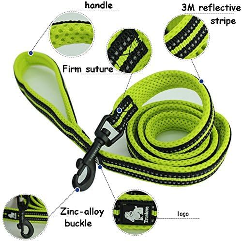 Creation Core Reflective Dog Leash Durable Padded Pet Leash Strap for Puppy Pet Leash Rope, Pink 6.5Ft Long 1" Wide