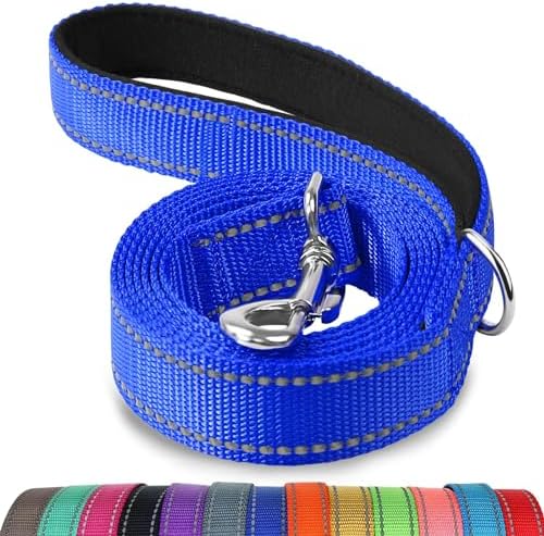 Joytale Reflective Dog Leash for Small Dogs, 5 FT x 3/4", Navy Blue
