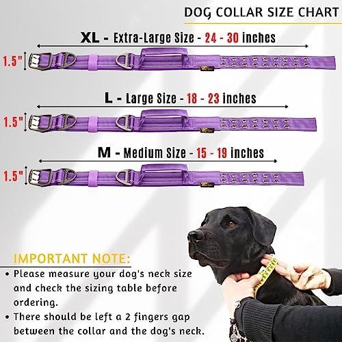 ADITYNA Heavy Duty Dog Collar for Large Dogs with Traffic Handle