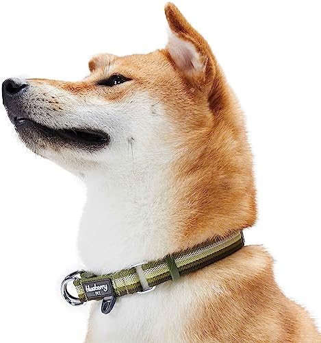 Blueberry Pet Dual D-Ring Safety Dog Collar | Adjustable Nylon Collar with Multicolor Stripes in Olive| Durable Collar Size X-Large for Large Breeds