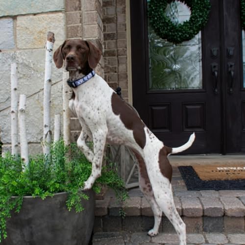 Up Country Daisy Dog Collar, Small (9 to 15 inches) 5/8 inch Narrow Width