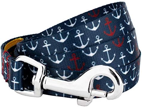 Country Brook Petz - Anchors Away Everyday Dog Leash - Summer Breeze Collection Featuring Sunny Designs (6 Foot, 1 Inch Wide)