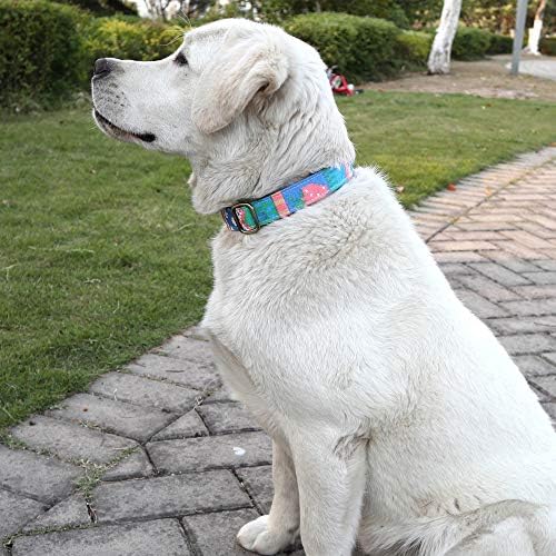 Customized Nylon Dog Collar, Personalized Dog Collar Engraved with Name and Phone Number,Adjustable ID Dog Collar with Quick-Release Buckle-(Indian-Blue,L)