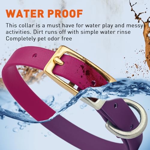 Viper Biothane Heavy Duty Waterproof Dog Collar Strong Coated Nylon Webbing w/Solid Brass Hardware Odor-Proof Easy to Clean High Performance Fits Small Medium or Large Dogs, Magenta Pink