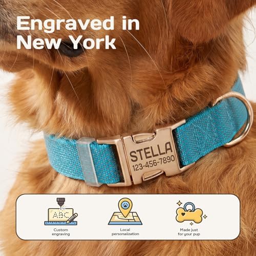 Custom Dog Collar with Name and Phone Number