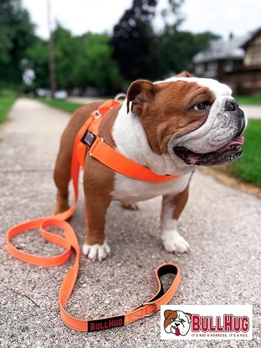 BULLHUG 6 FT Bulldog Leash with Padded Handle. Perfect for Bulldogs, French Bulldogs, Pugs & All Breeds. Leashes for Walking, Training Lead for Bulldogs (NEON Orange)