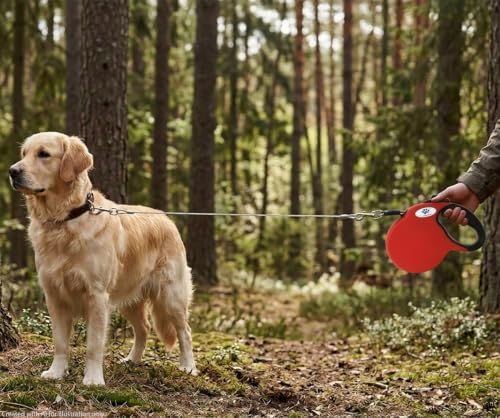 16ft Retractable Dog Leash for Large Breed Dogs up to 110 lbs with a Detachable Chew Proof Extender Wire Ropes (Red L)