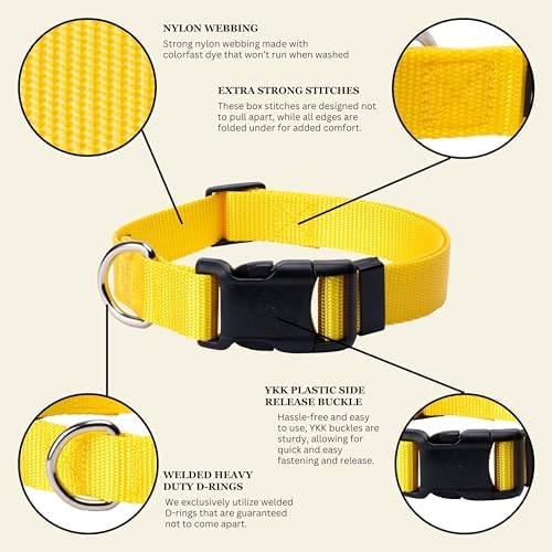 Country Brook Petz - Everyday Nylon Dog Collar for Large, Medium, and Small Dogs and Puppies - for Everyday Use in 30+ Colors (Small, 3/4 Inch Wide, Yellow)