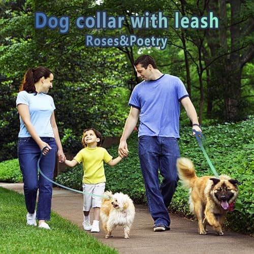 Roses&Poetry Bluegreen Medium Dog Collar and Leash Set, Puppy Reflective Leashes with Collars, Adjustable Durable Matching Collar Leash for Medium Dogs Girl (Bluegreen-M)