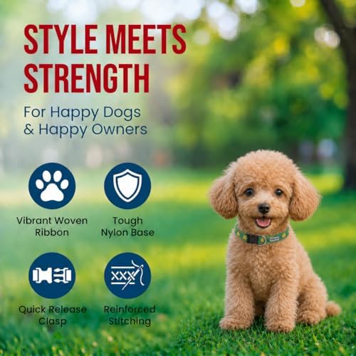 THE WORTHY DOG Summer Print, Adjustable Dog Collar, Small Dogs, Good Luck