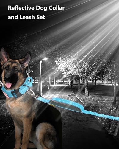 AUBELL Reflective Tactical Heavy Duty Dog Leash and Collar Set,Blue L