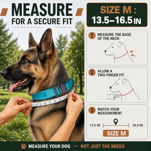 Tactical Dog Collar with Handle, Heavy Duty Nylon for Medium Dogs