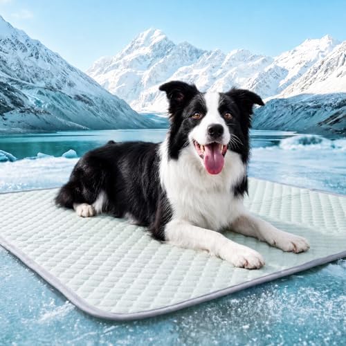 PatiencET Large Dog Cooling Mat, 32 x 44 in No-Gel Cooling Pad for Dogs, Cool Touch Pet Mat with Ice-Dot Texture, Washable Summer Dog Mat for Crate, Kennel, Floor, Sofa, Car, Light Green