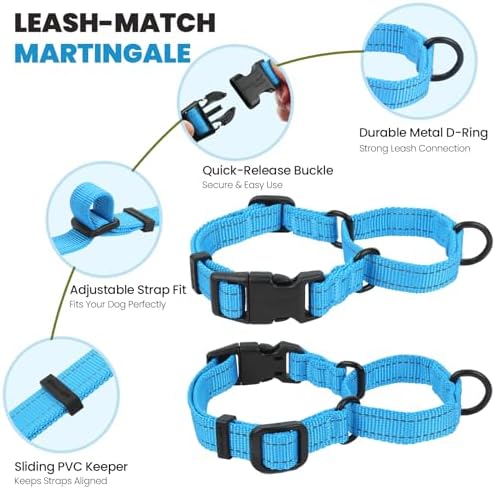 VIVAGLORY Double Handle Dog Leash Twingrip, 5ft x 1in, M2, Blue