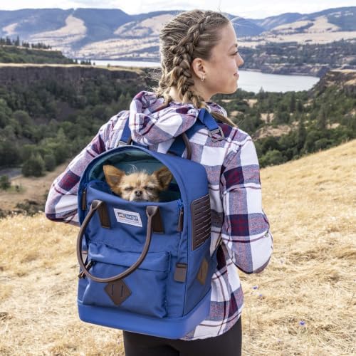 Kurgo Nomad Carrier Backpack, Blue
