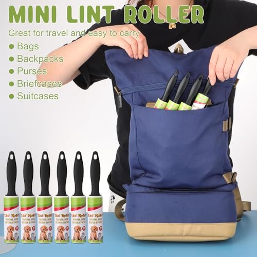 Hushee 24 Pcs Mini Lint Roller for Travel, Portable Pet Hair Remover