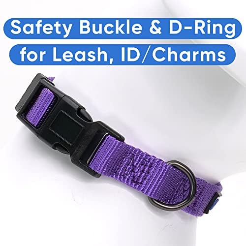 Pawtitas Solid Color Purple Puppy or Dog Collar, Small