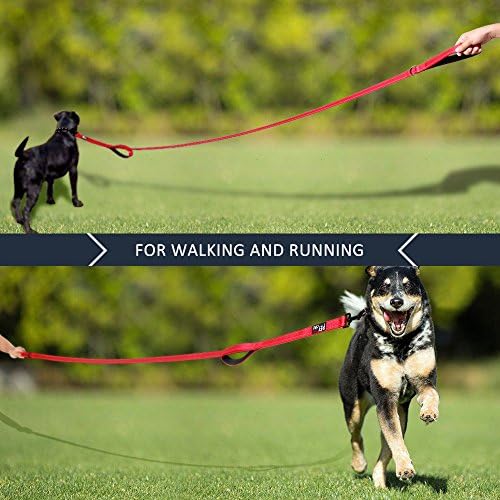 Plutus Pet Double Handle Dog Leash, 5 FT Long, for Medium Large Dogs