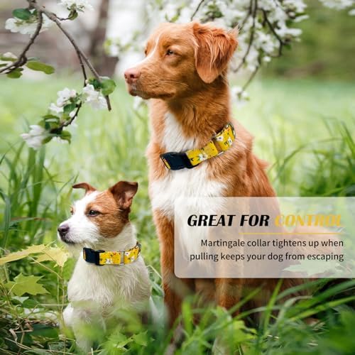 Hikiko Martingale Collar for Dogs with Special Pattern,Adjustable,S