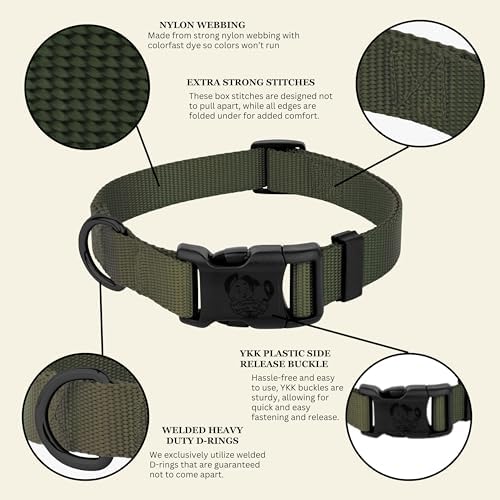 Country Brook Petz - Everyday Nylon Dog Collar for Large, Medium, and Small Dogs and Puppies - for Everyday Use in 30+ Colors (Small, 3/4 Inch Wide, Dark Olive Drab)