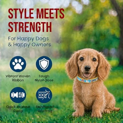 THE WORTHY DOG Summer Print, Adjustable Dog Collar, Small Dogs, Pool Party