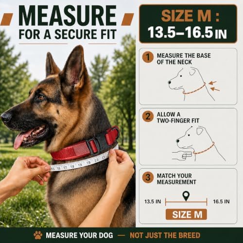 Tactical Dog Collar with Handle, Heavy Duty Nylon for Medium Dogs