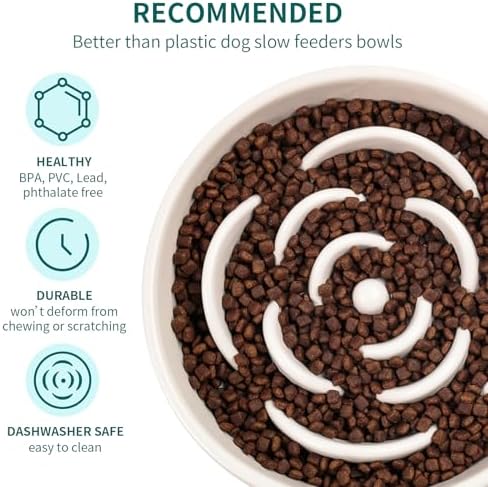 White Ceramic Slow Feeder Dog Bowl for Small and Medium Breeds,6.1 in Slow Feeding Bowl,Puzzle Cat Dog Food Bowl for Fast Eater,Maze Dish Puzzle Bowl for Small Dogs and Cats