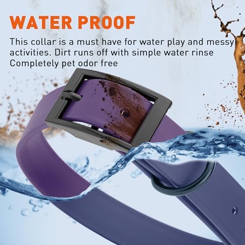Dogline Biothane Waterproof Dog Collar Strong Coated Nylon Webbing with Black Hardware Odor- Proof for Easy Care Easy to Clean High Performance Fits Small Medium or Large Dogs, Violet Purple