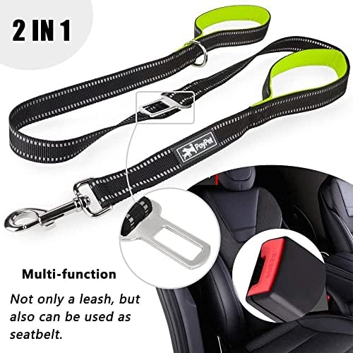PoyPet 5 Feet Dog Leash with 2 Cushioned Handles (Green)