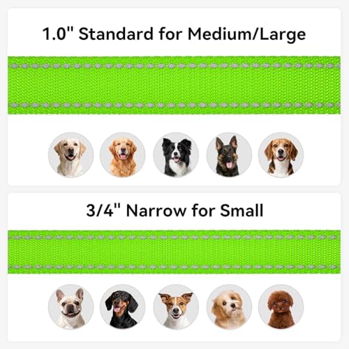 Joytale Reflective Dog Leash for Medium & Large Dogs, 6 FT x 1", Green