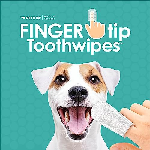 Petkin Fingertip Tooth Wipes for Dogs and Cats, 50 Finger Wipes - Slip-On, Snug Fit, Micro-Bristle Fabric - Cleans Teeth, Gums, Plaque & Tartar - Convenient, Ideal for Home and Travel - Fresh Mint