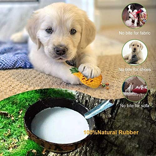 Teething Chew Toys for Puppy Small Dogs, Interactive Dog Toys to Keep Them Busy Puppies Tough Dog Dental Clean Toys