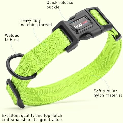 Dogline Lime Green Customizable Personalized Nylon Collar (W: 5/8" L: 11"-16")