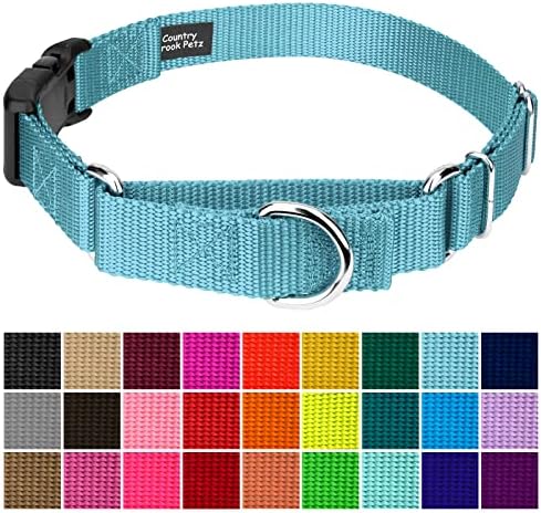 Martingale Dog Collar - Heavy Duty Nylon Adjustable Martingale Dog Collar with Plastic Buckle for Small Medium Large Breeds - 30+ Colors (1 Inch, Large, Ocean Blue)
