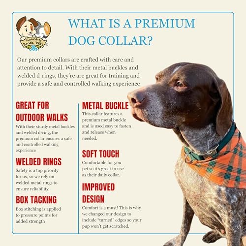 Country Brook Petz - Premium Nylon Dog Collar with Metal Buckle for Small Medium Large Breeds - 30+ Colors (Small, 3/4 Inch, Green)