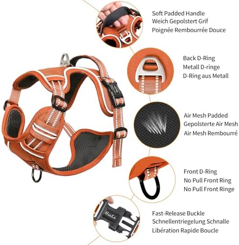 HEELE Dog Harness for Small Dogs No Pull Dog Vest Harness for Small Dog with Soft Padded Handle Reflective for Outdoor Training, Pumpkin Orange, S