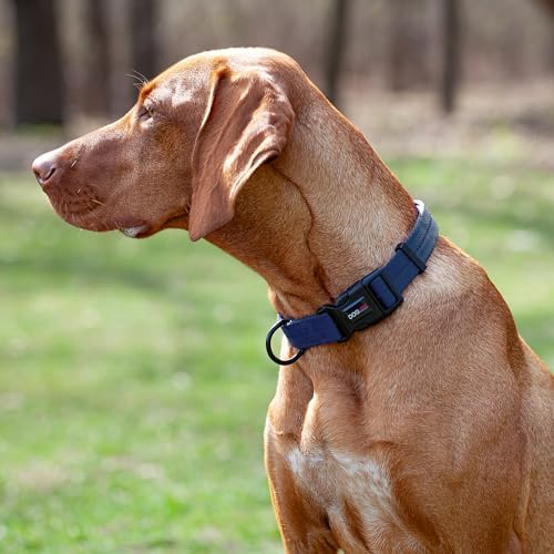 Dogline Navy Blue Nylon Collar (W: 5/8" L:11"-16")
