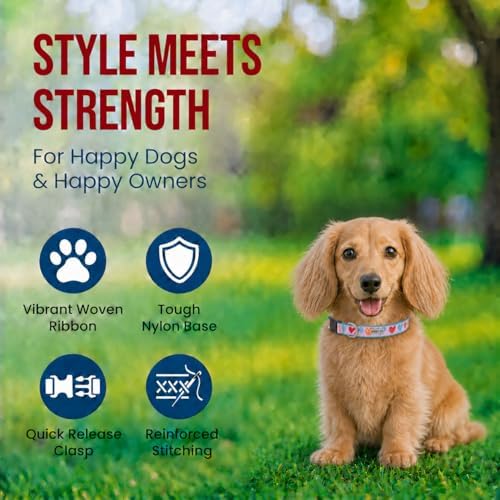 THE WORTHY DOG Summer Print, Adjustable Dog Collar, Small Dogs,Love is Love