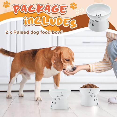 Teenyyou 2 Pack Elevated Dog Bowls for Small Dogs and Cats, 3.7" H x 4.8" W
