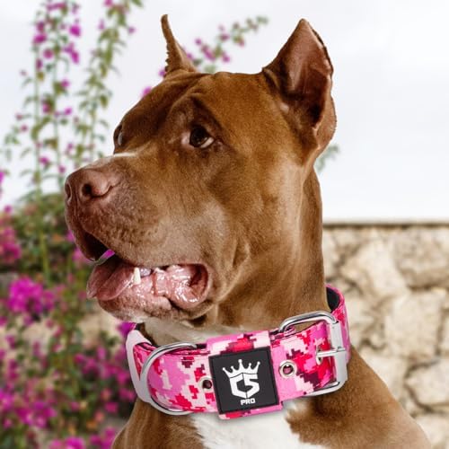 TSPRO Heavy Duty Thick Dog Collar with Metal Buckle for Medium Dogs