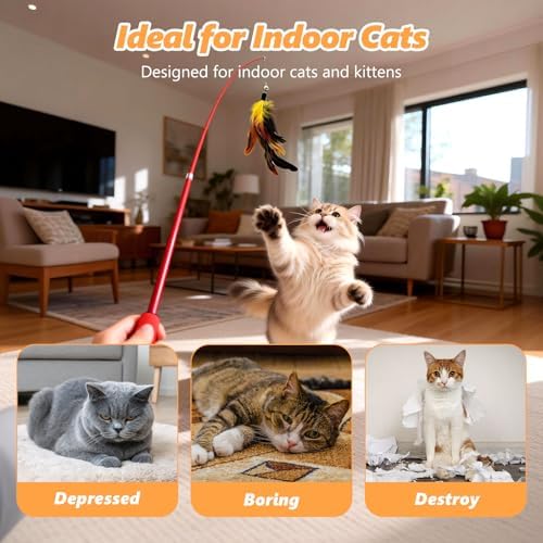 Cat Toys Interactive Feather Teaser Wand Set, Retractable Cat Fishing Pole Toy with Assorted Replaceable Attachments & Bells, Fun Hunting Exercise (12 Pack)