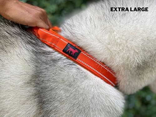 Tuff Pupper Heavy Duty Dog Collar with Handle | Ballistic Nylon Heavy Duty Collar | Padded Reflective Dog Collar with Adjustable Stainless Steel Hardware | Convenient Sizing for All Breeds