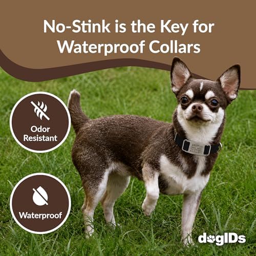 dogIDs Personalized Quick Release Waterprooft ScruffTag Dog Collar - Built-in Custom Laser Engraved Nameplate, Odor Resistant - Black, 3/4 in x 11-14 in (Fits Neck Sizes: 11-14 in)